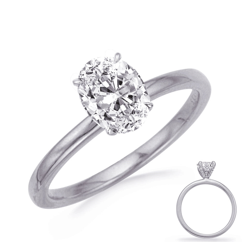 14K White Gold Semi Mount Ring with Diamond Oval Hidden Halo