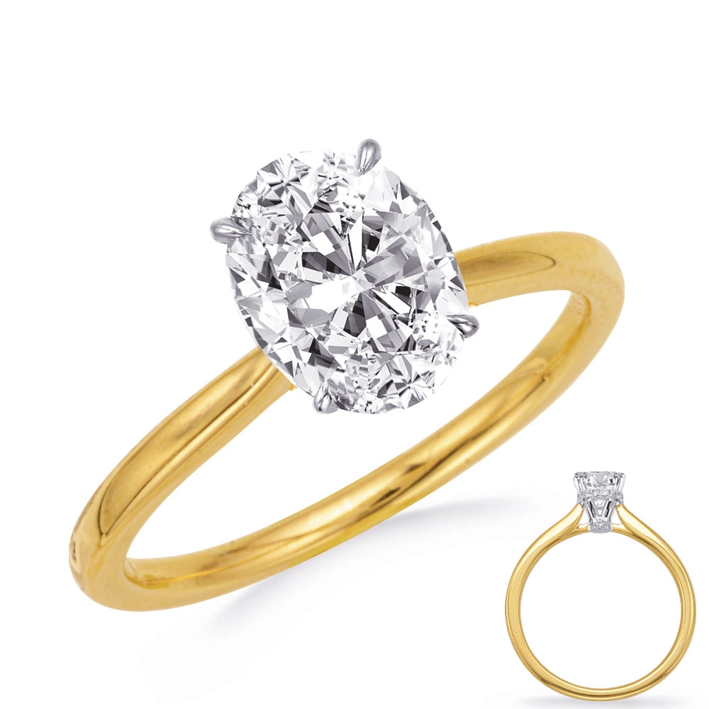 14K Yellow Gold Solitaire Ring with White Gold Oval Hidden Halo Diamond Head