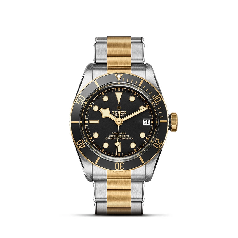 TUDOR Black Bay S&G 41mm Steel and Gold